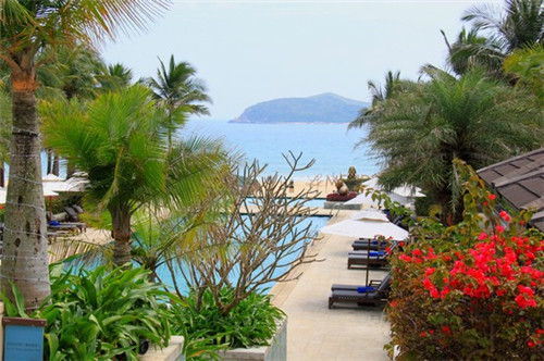 陈厨老坛酸菜鱼