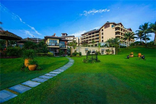 楠楠章鱼小丸子