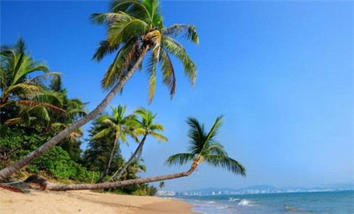 卢氏县贝类加盟店2025还能赚钱吗